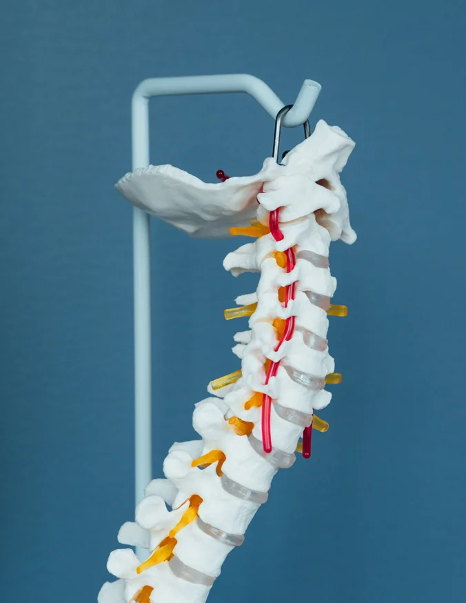 cervical-fractures-what